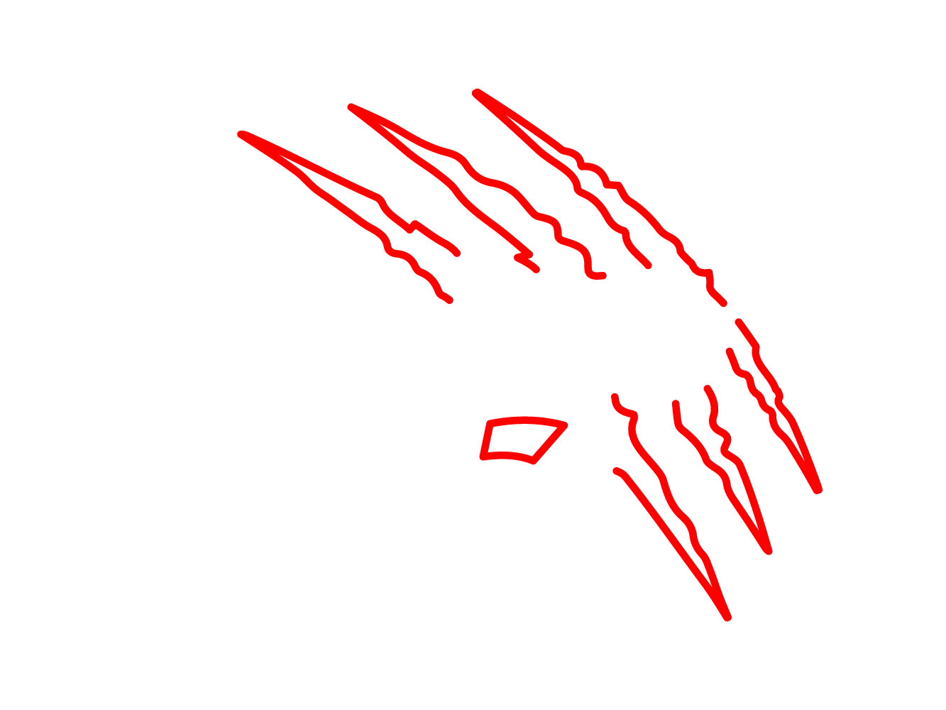 Raion BJJ Logo